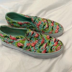 Flamingo vans